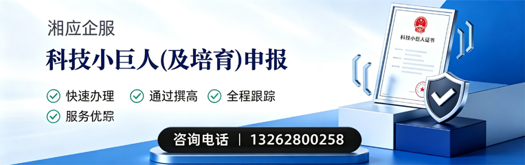 郑州科技小巨人及培育企业申报服务