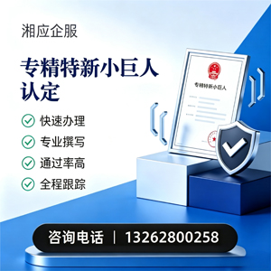 郑州专精特新小巨人申报服务
