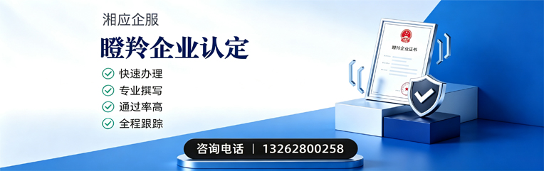 郑州瞪羚企业认定申报服务
