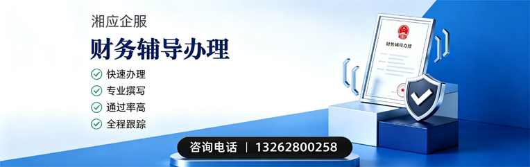 郑州财务辅导申请服务
