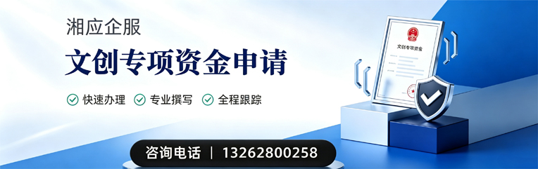 郑州文创专项资金申报服务