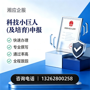 郑州科技小巨人及培育企业申报服务