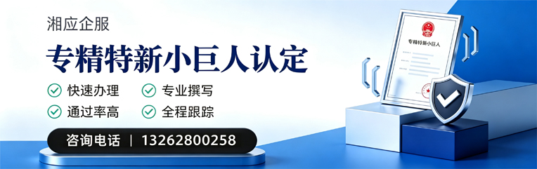 郑州专精特新小巨人申报服务